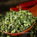 Al por mayor de pimienta verde Sichuan Peppertree Pricklyash